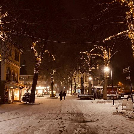 Duke-Fewo In Der Villa Radau An Der Bummelallee Bad Harzburg Exteriör bild